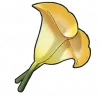Lan Zhang - Roco Kingdom: World Materials item image