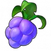 Suan Suan Qing Ti - Roco Kingdom: World EV Boosters item image