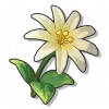 Xiang Ya Hua - Roco Kingdom: World Gathering item image