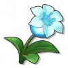 Ying Guang Lan - Roco Kingdom: World Gathering item image