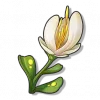 Zao Yu Hua - Roco Kingdom: World Gathering item image