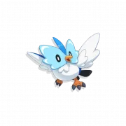 Dongyuque