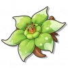 花星角