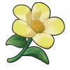 向阳花